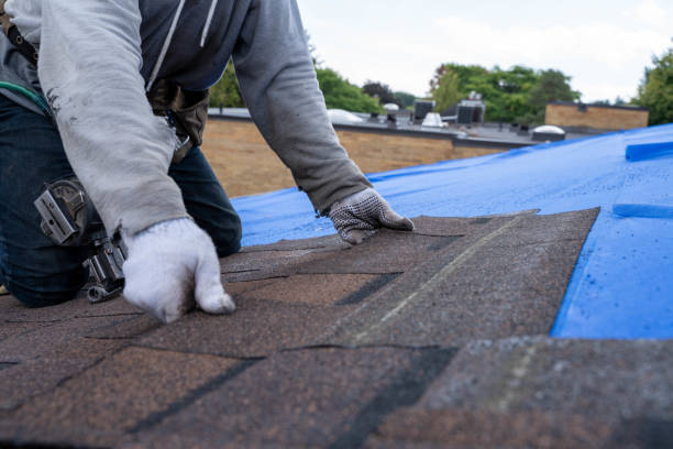 Best Roof Replacement Cost  in Pinckney, MI