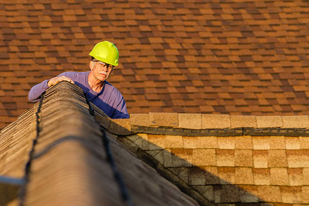 Best Residential Roofing Contractor  in Pinckney, MI