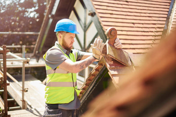 Best Metal Roofing Contractor  in Pinckney, MI