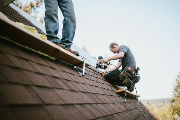 Best Emergency Roof Repair  in Pinckney, MI