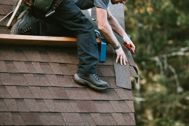 Best Roof Maintenance Services  in Pinckney, MI